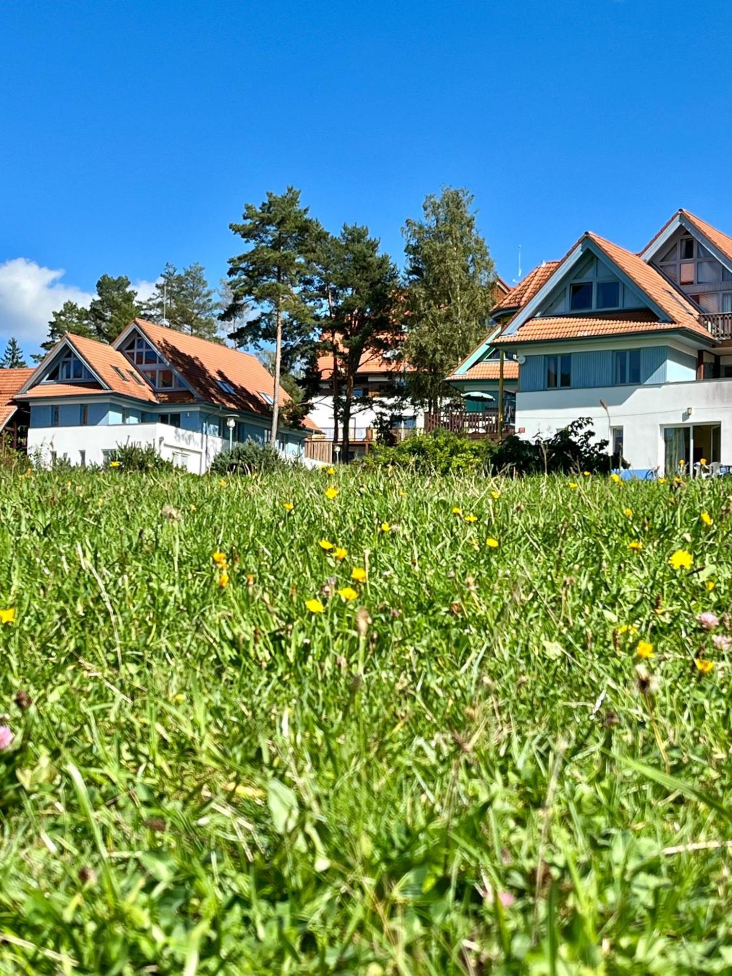 Lipno Beach Apartment Lipno nad Vltavou Eksteriør billede